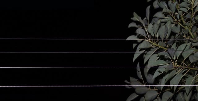 Ariel Reichman, Kerry Road - Johannesburg, 2015