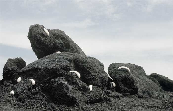 Sharon Glazberg, Caesarea, 2010