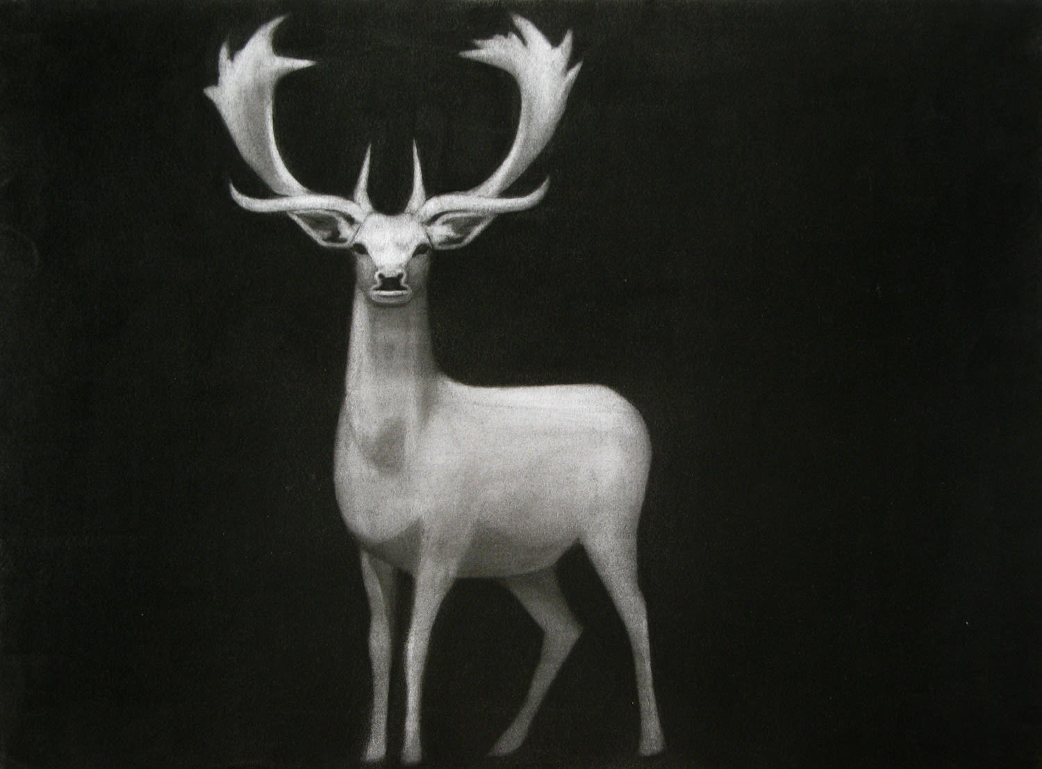 Hillel Roman, Untitled, 2009