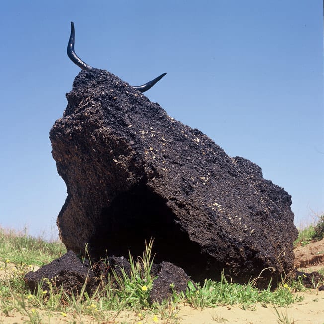 Sharon Glazberg, Tel Baruch, 2007