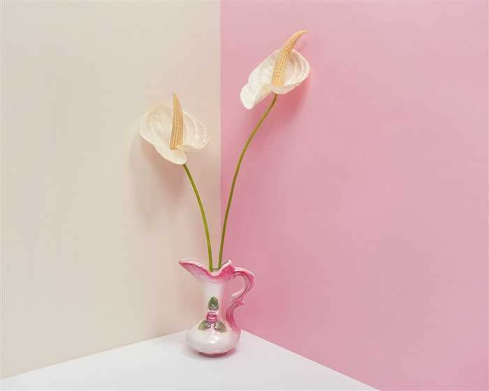 Liat Elbling, For each time I wanted to leave #6, 2011