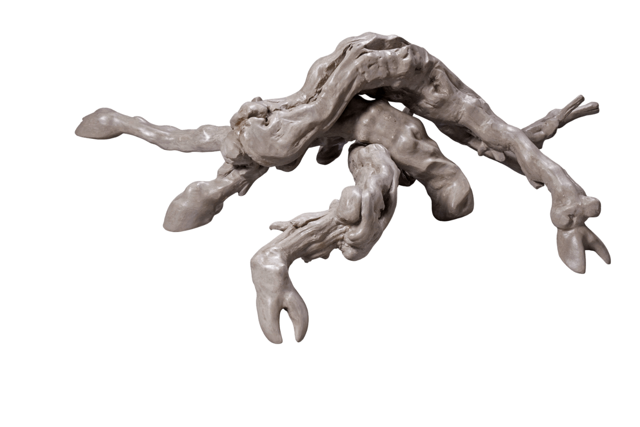 Sharon Glazberg, Hybrid #2, 2007