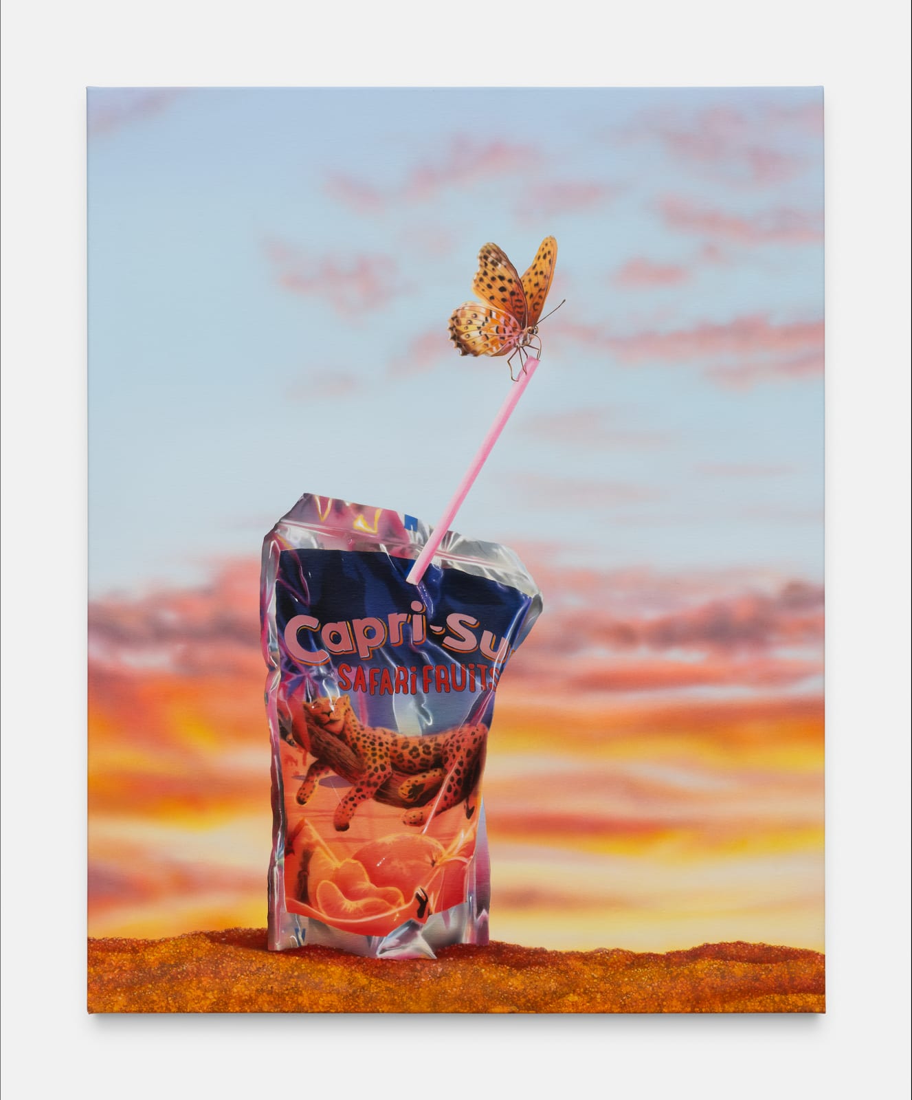 Léo Luccioni, Nature Morte ? N°5, 2024