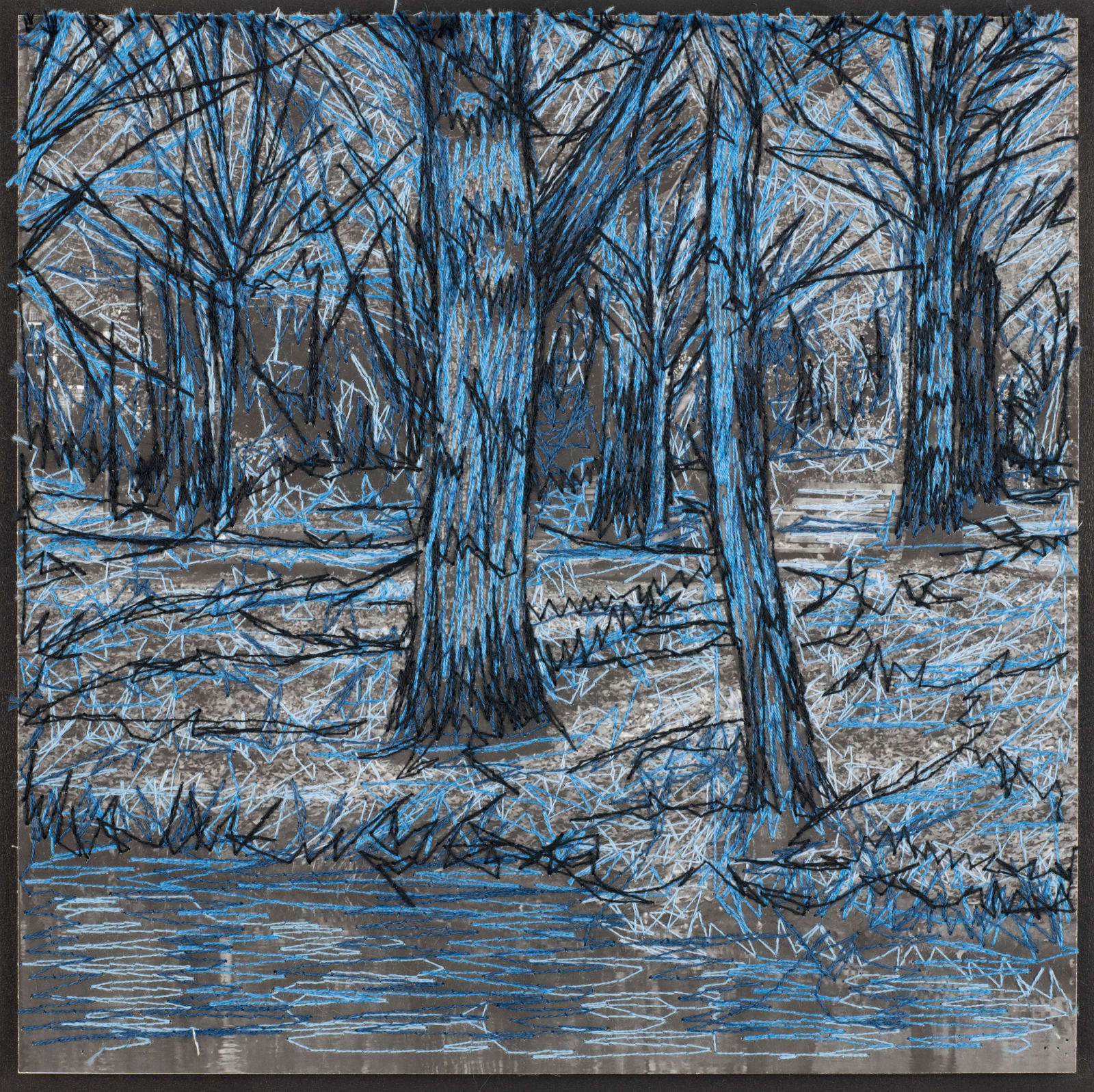 Blue Tree Study II
