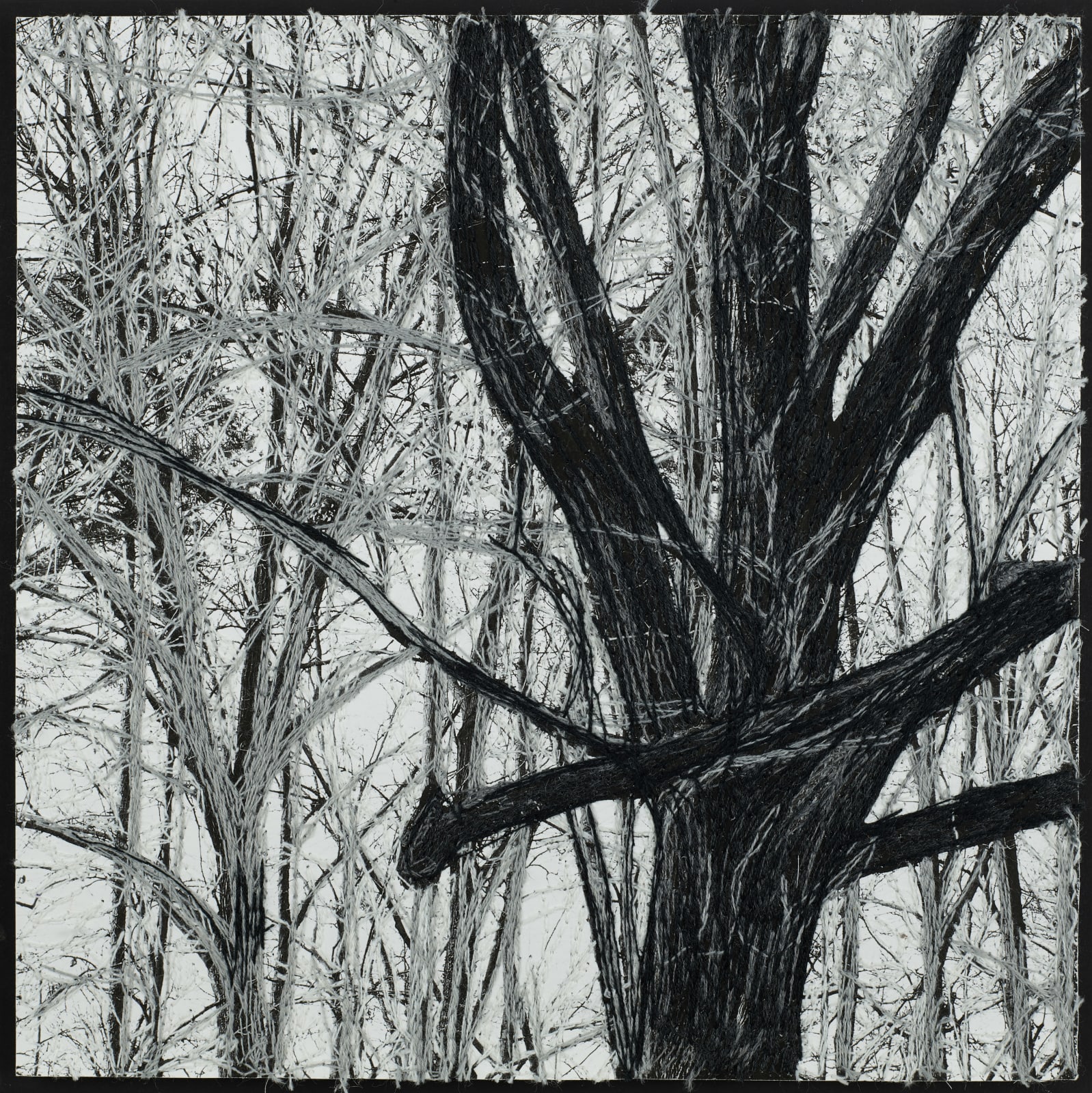 Black Tree Threads