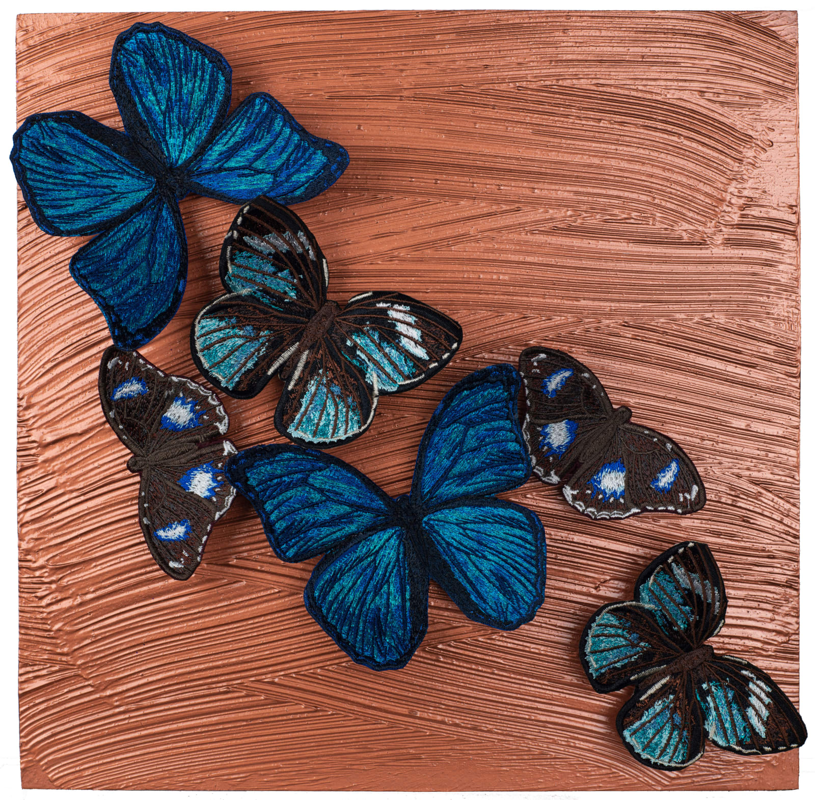 Bronze Butterflies