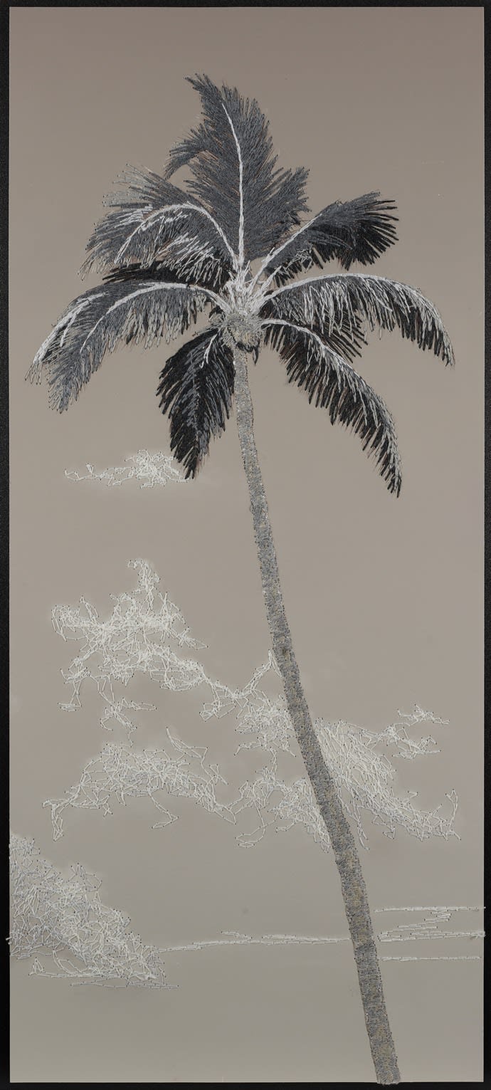 Light Study