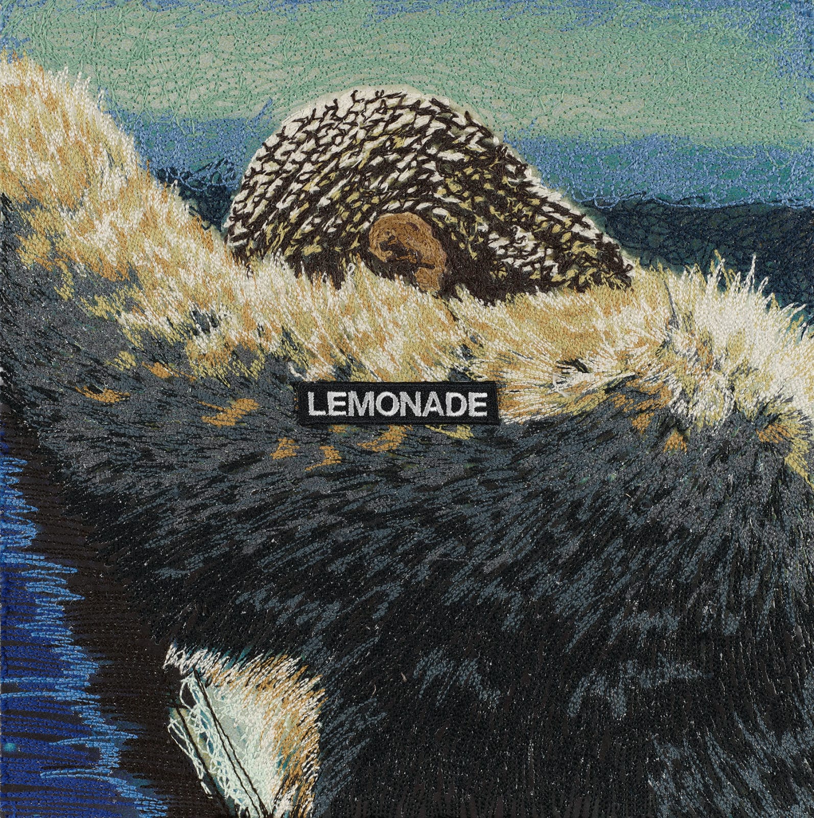 Stephen Wilson, Lemonade, Beyonce , 2019