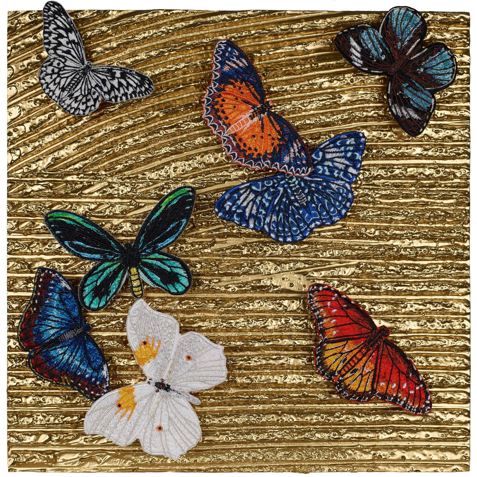 Gold Butterfly Study