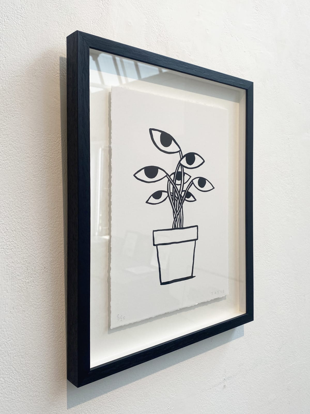 James Joyce, Framed, Plant Life, 2023