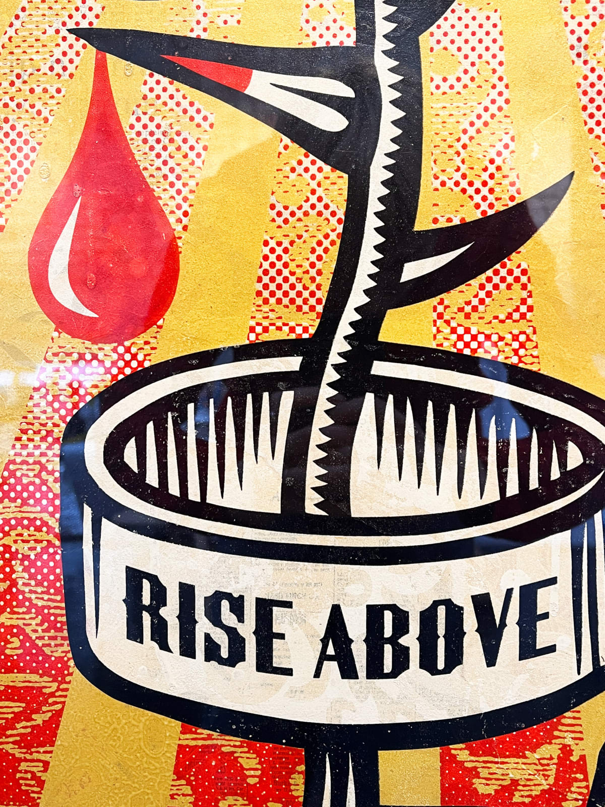 Shepard Fairey, Rose Shackle, 2019