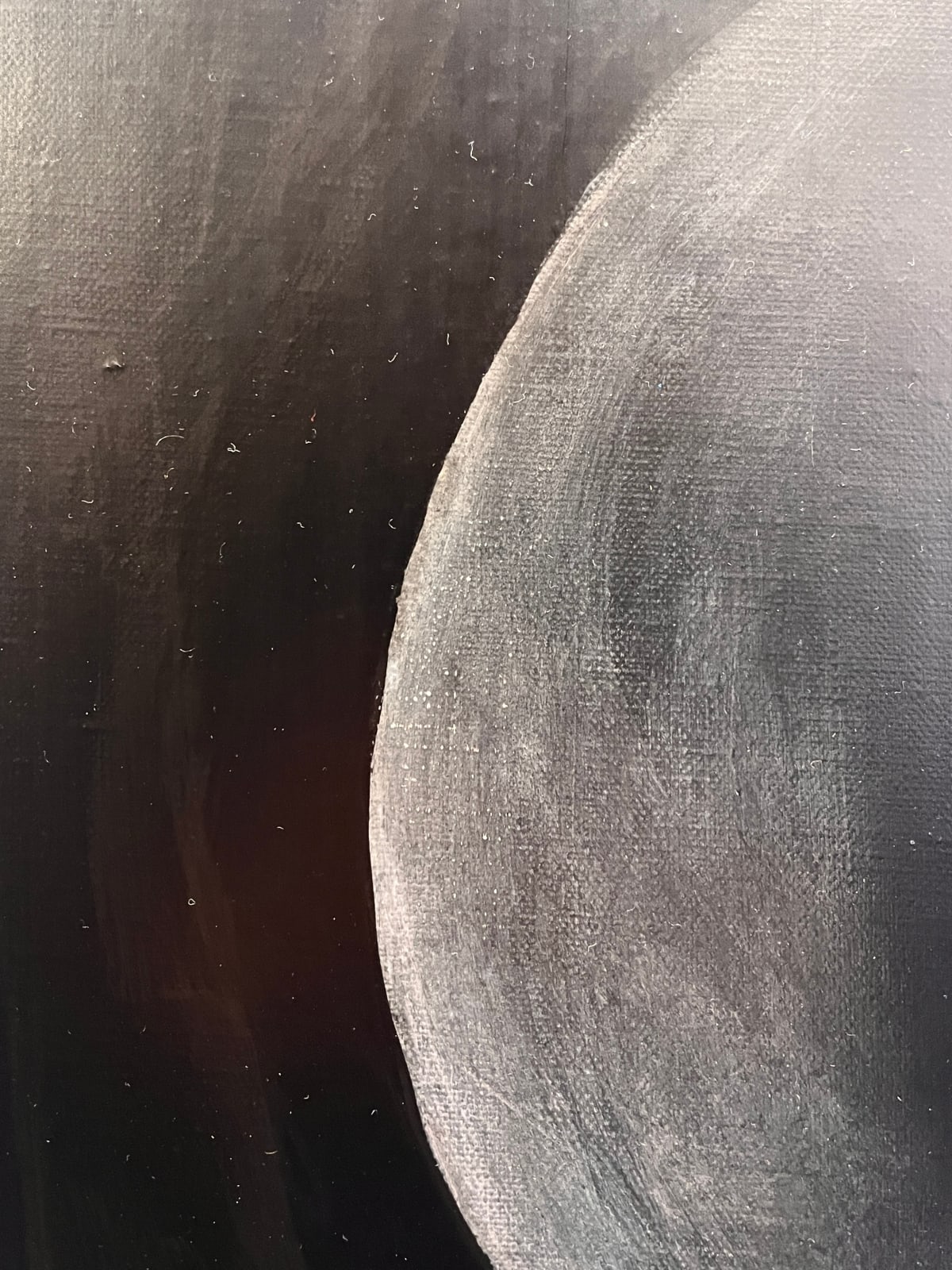 Adrien Conrad, Dissociation, 2024