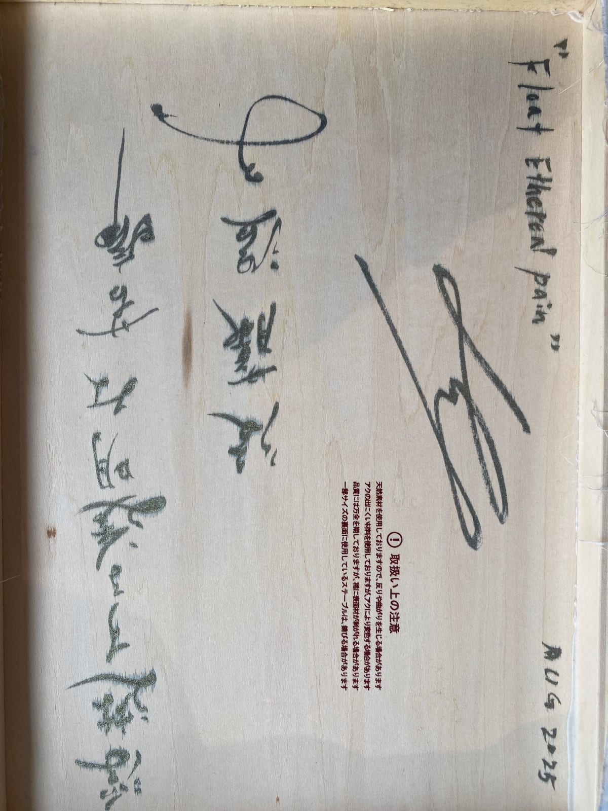 GOTO Atsuko, Float Ethereal Pain, 2025