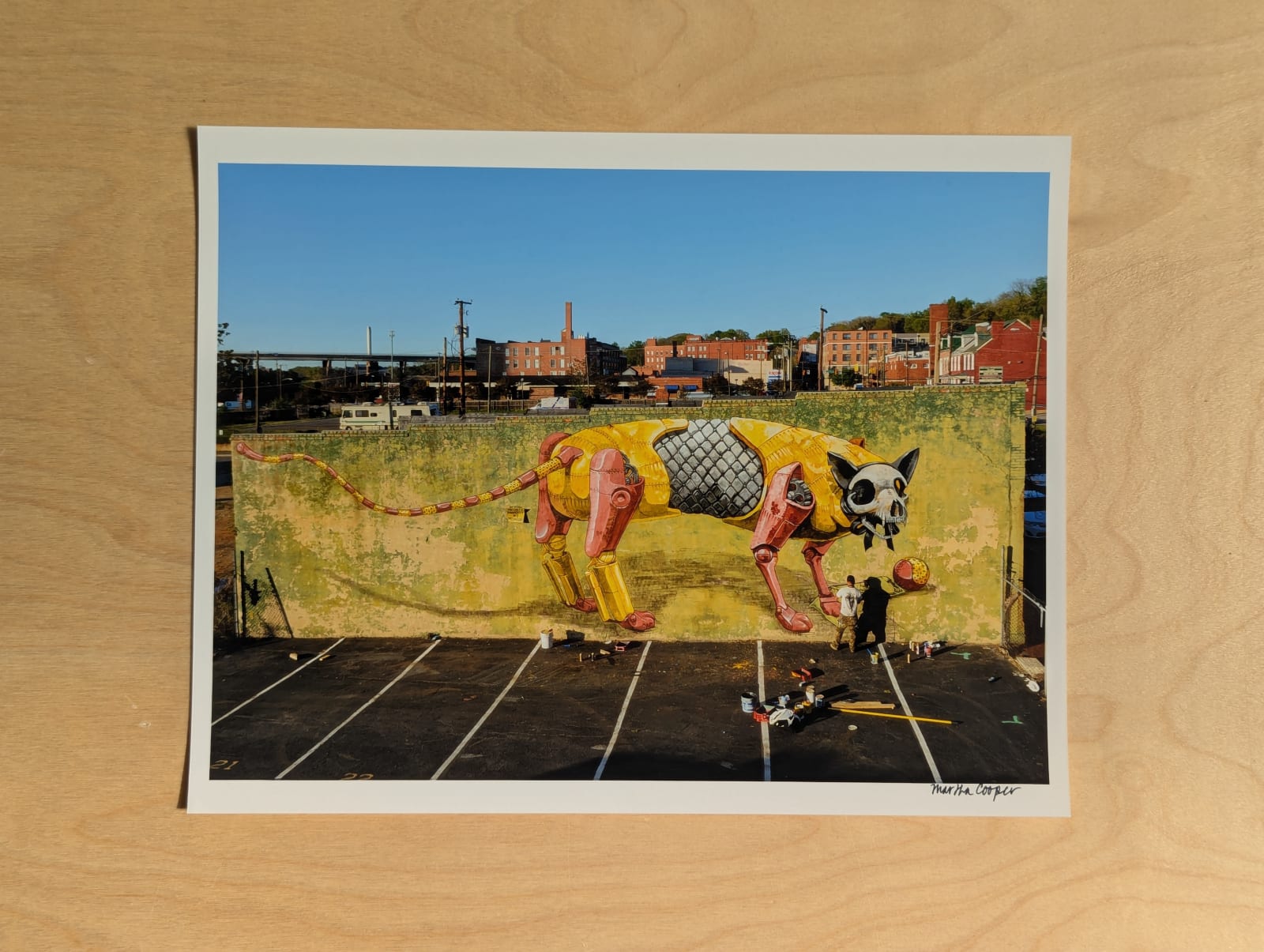 Martha Cooper, Photo Print - Pixel Pancho 1, 2016