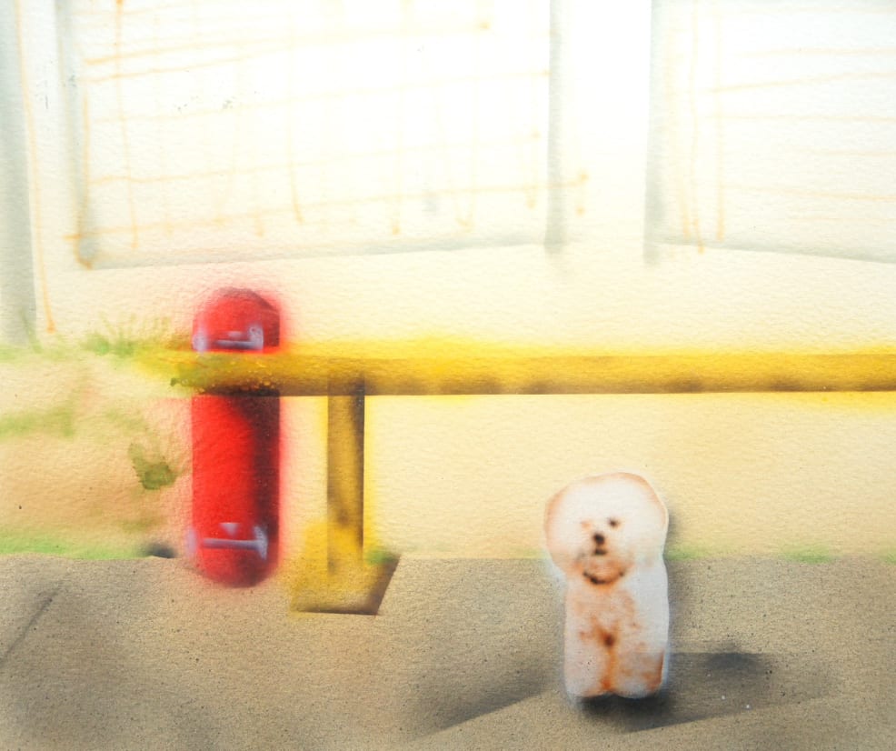 P.Kim, Bichon Frise, 2023