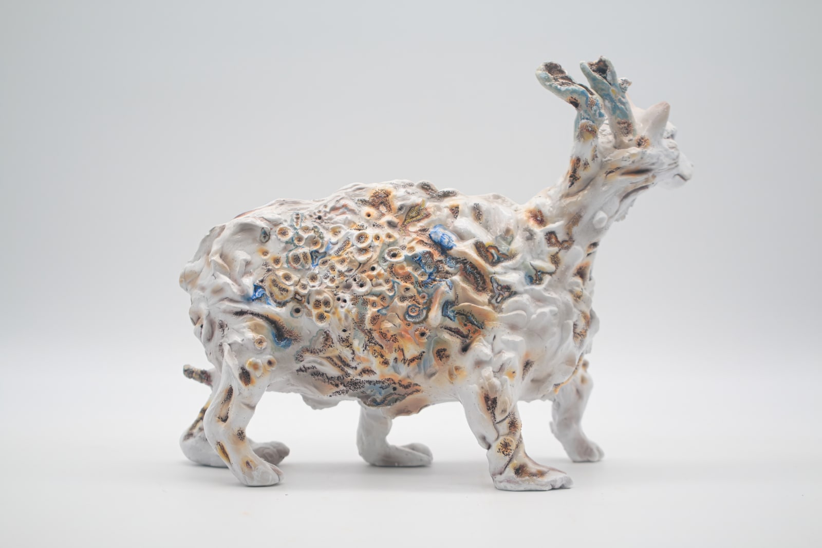 NastPlas, Vossil C1, 2024