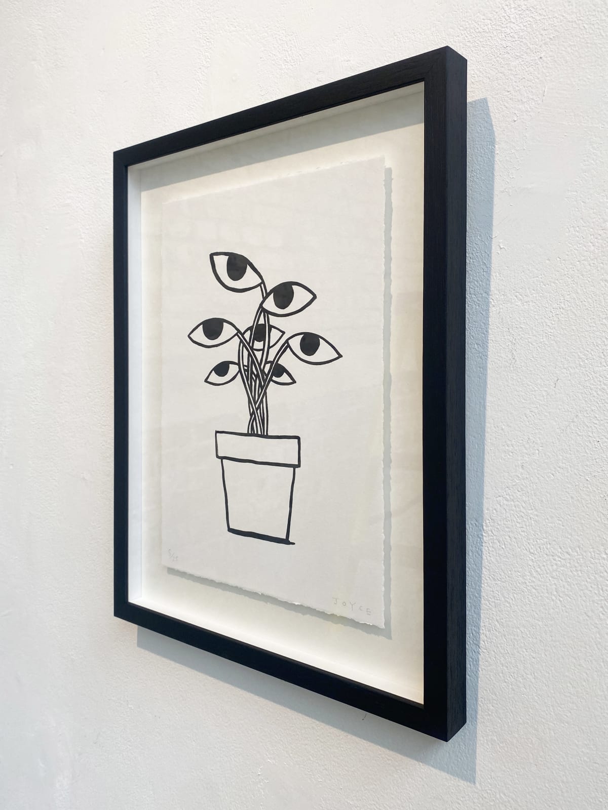 James Joyce, Framed, Plant Life, 2023