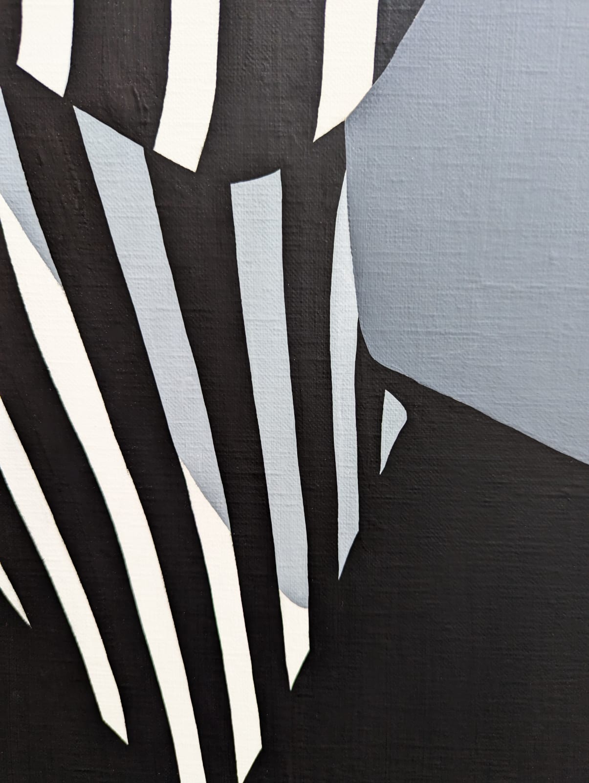 Shigeki Matsuyama, Portrait of dazzle #231, 2024
