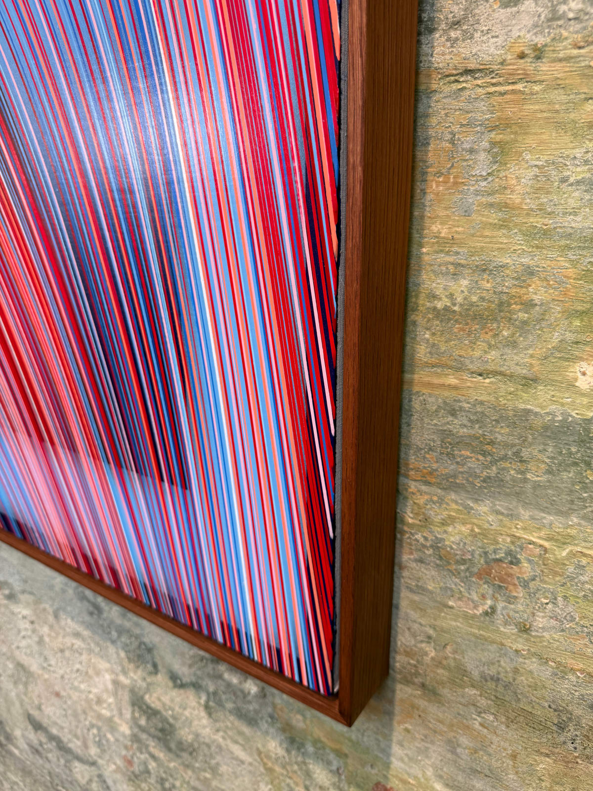 Kai & Sunny, Go With The Flow, 2025