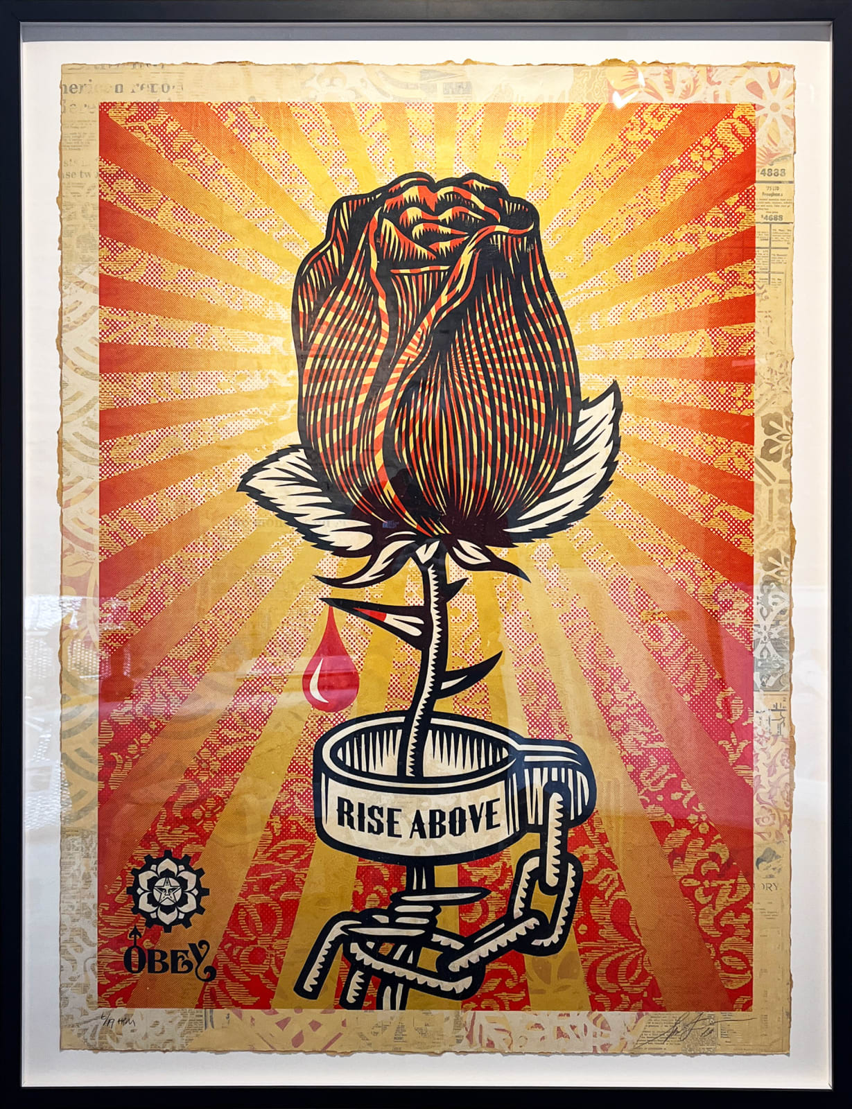 Shepard Fairey, Rose Shackle, 2019