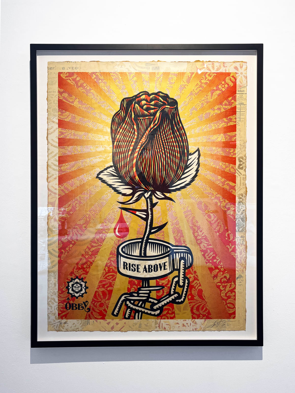 Shepard Fairey, Rose Shackle, 2019