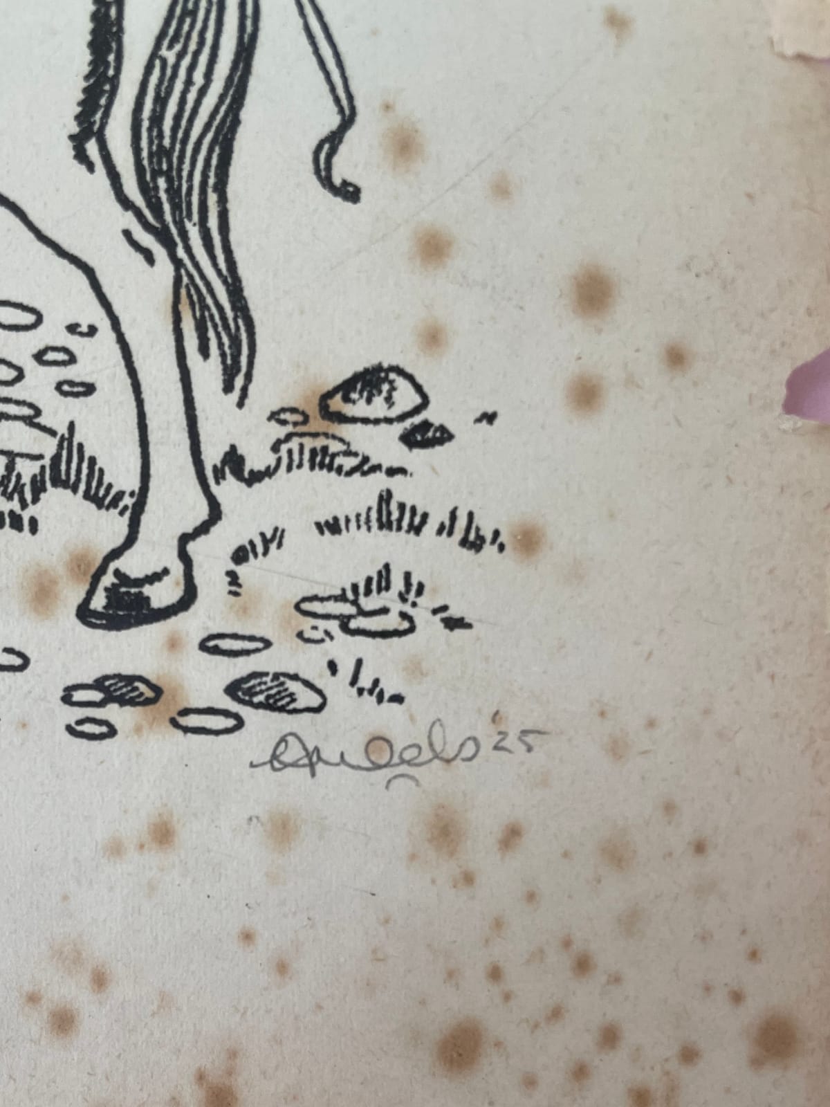 Ceal Warnants, Happily Never After, 2025