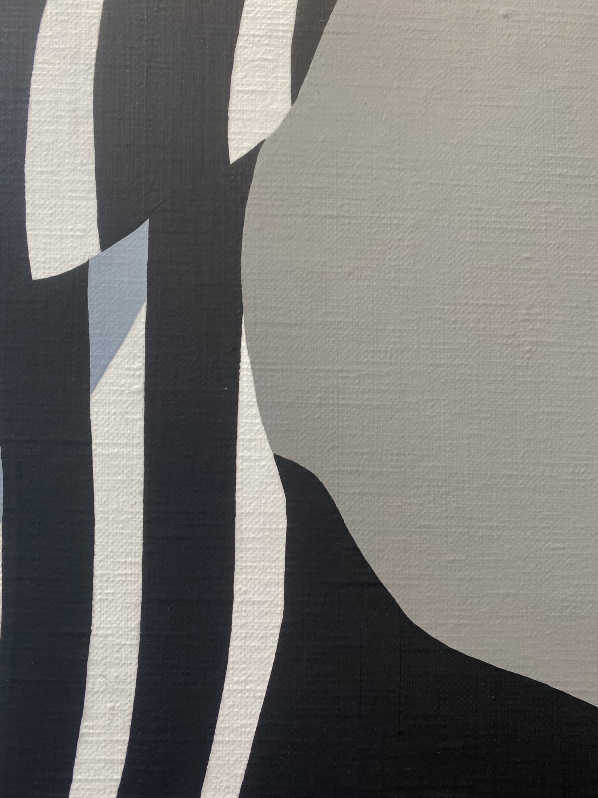 Shigeki Matsuyama, Portrait of dazzle #228, 2024