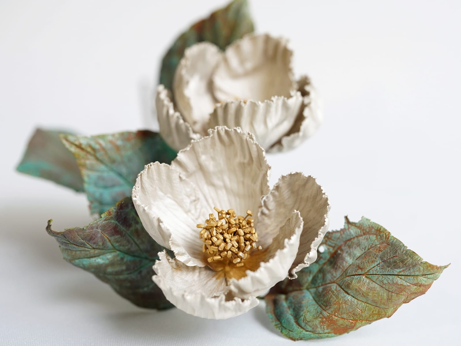 Shota Suzuki, The Summer Camellia, 2025