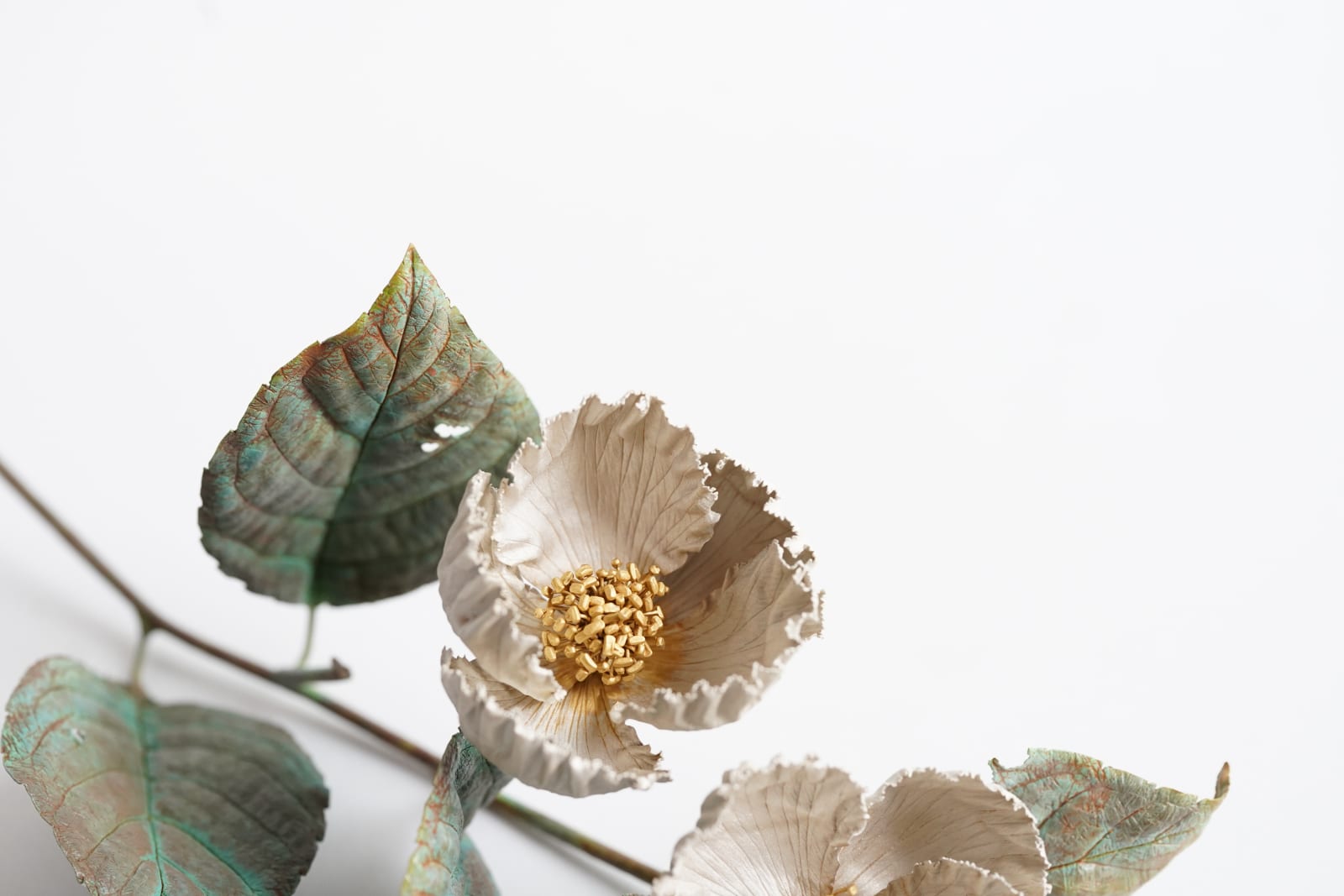 Shota Suzuki, The Summer Camellia, 2025