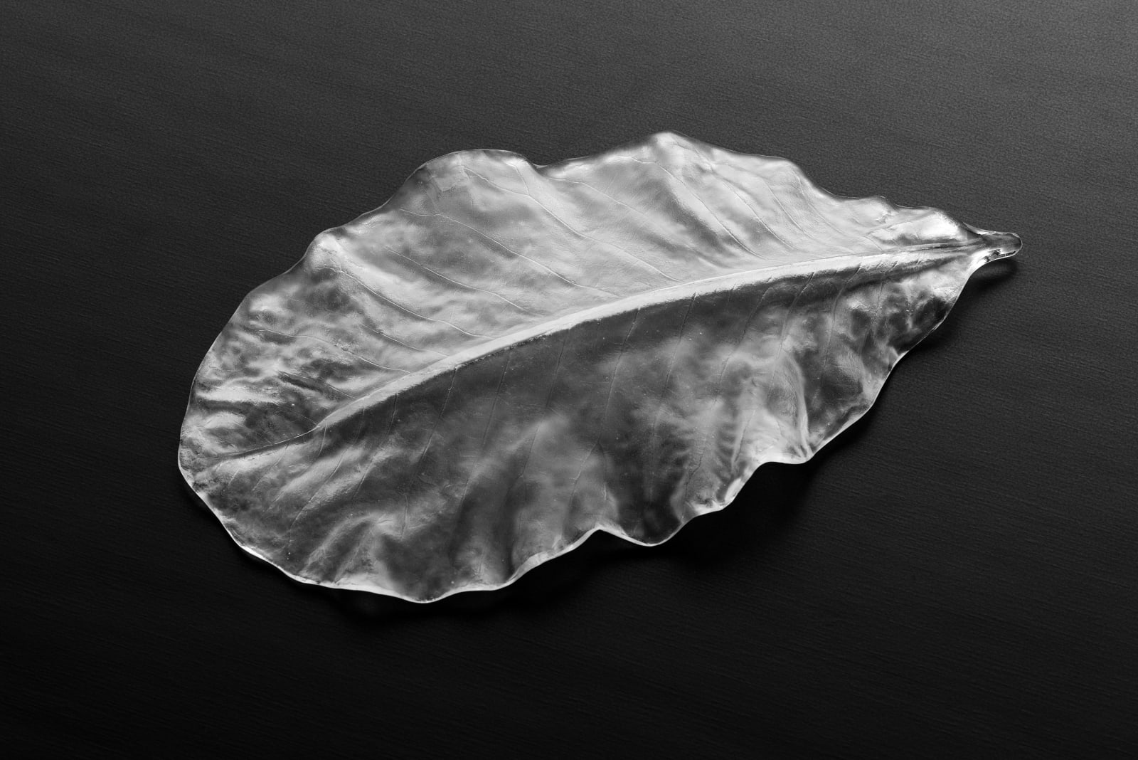 Satomi Den, Hoba leaf, 2024