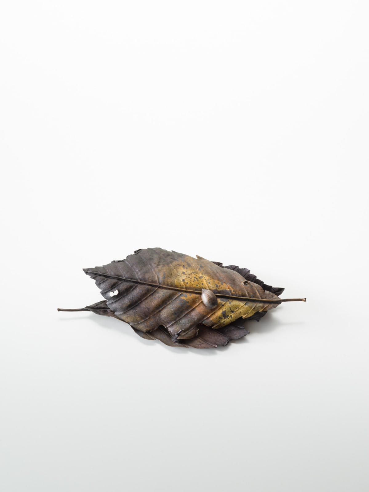 Shota Suzuki, The Autumn Treasure Box, 2025