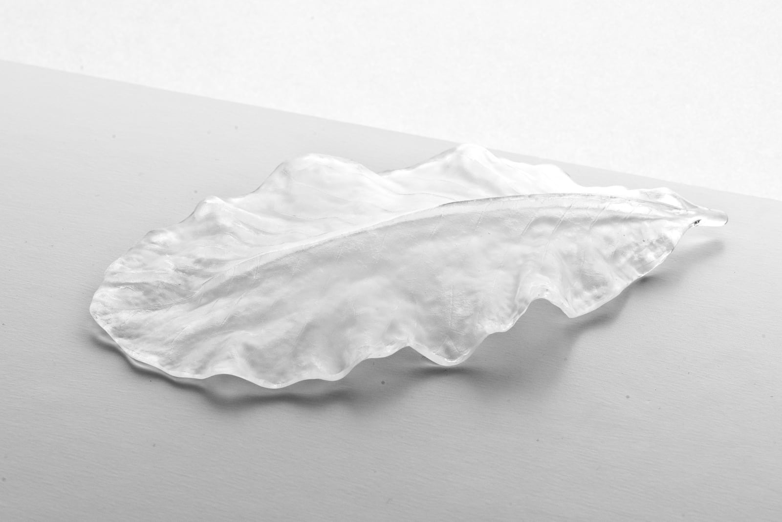 Satomi Den, Hoba leaf, 2024