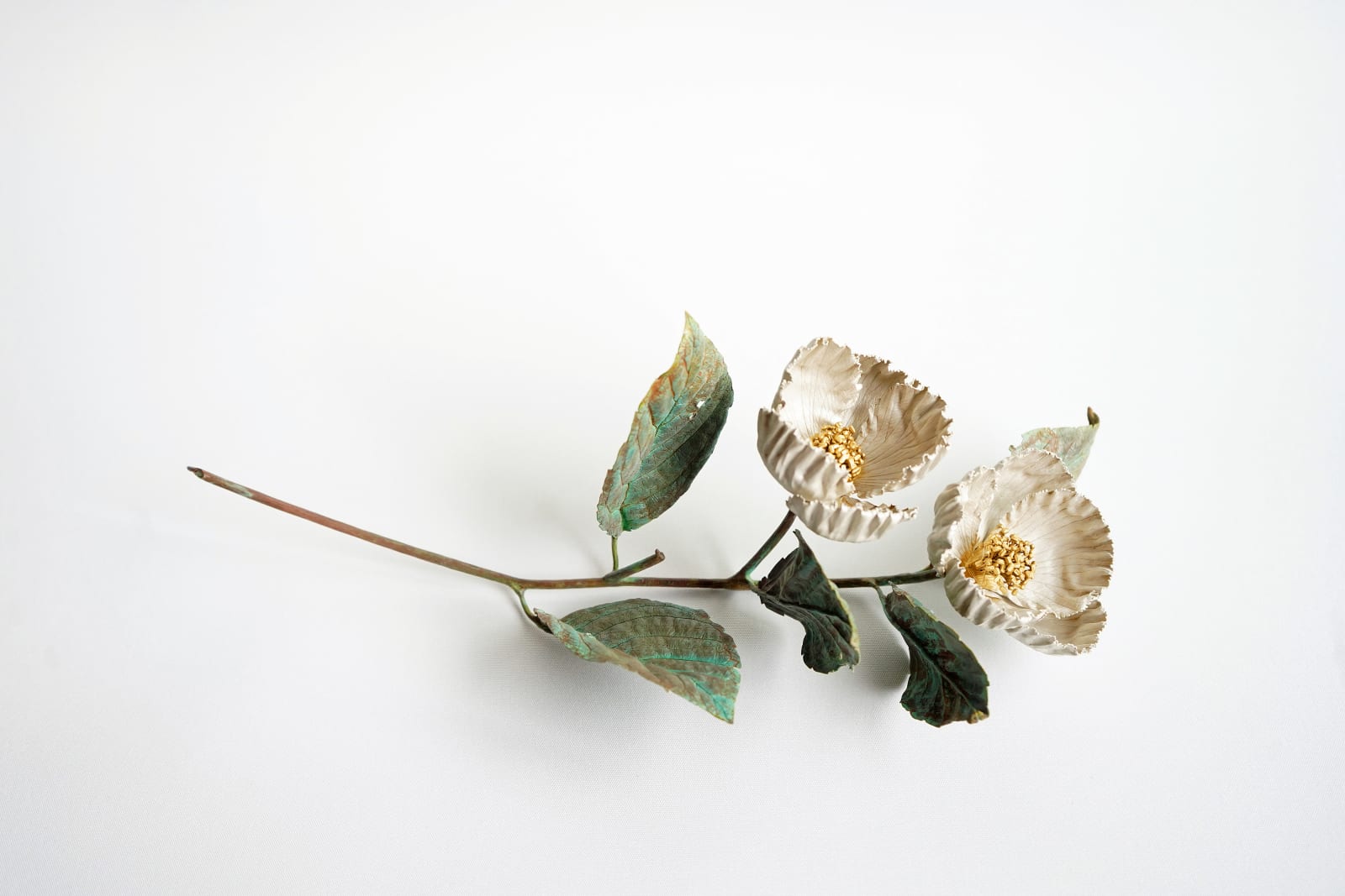 Shota Suzuki, The Summer Camellia, 2025