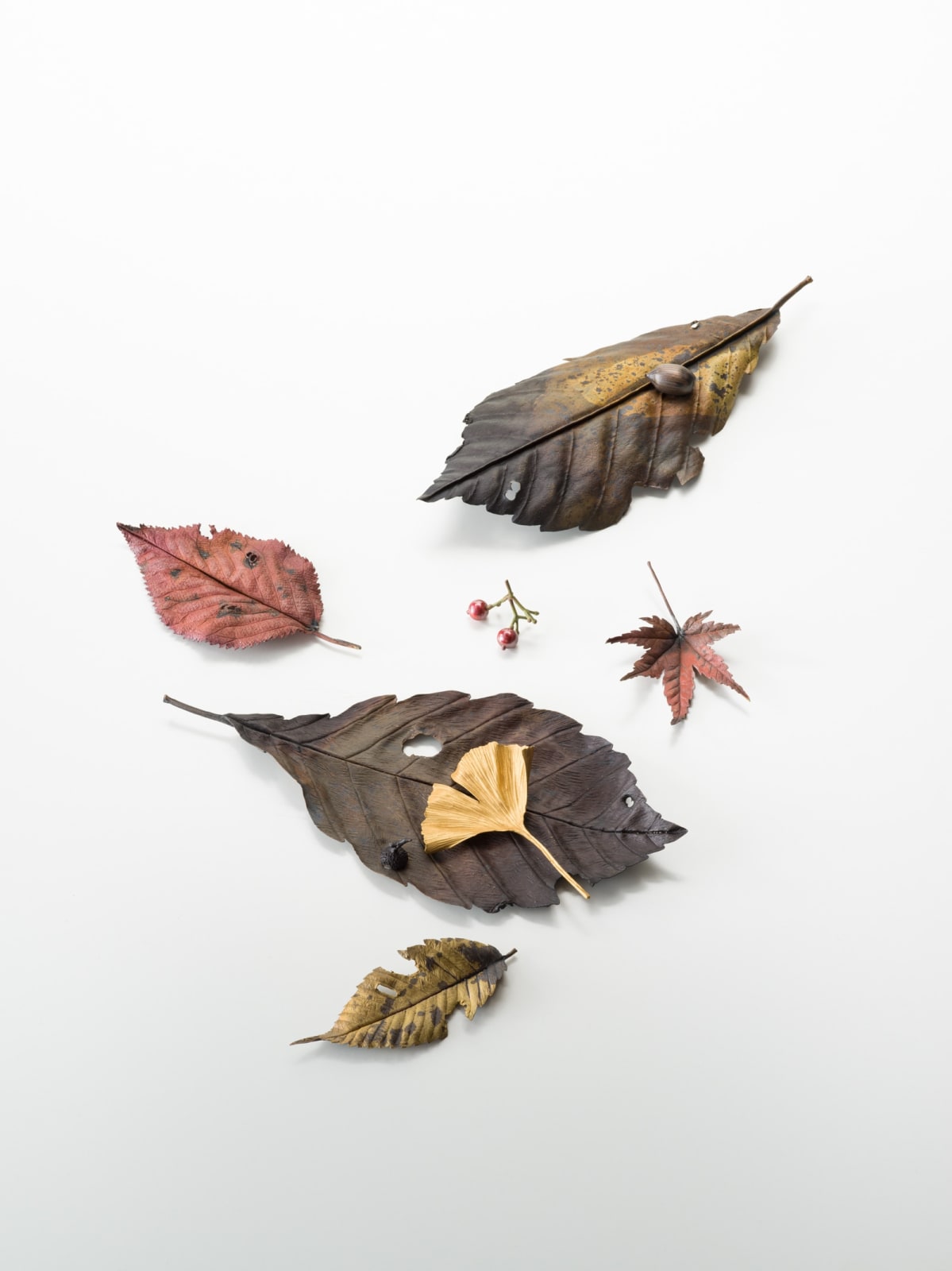 Shota Suzuki, The Autumn Treasure Box, 2025
