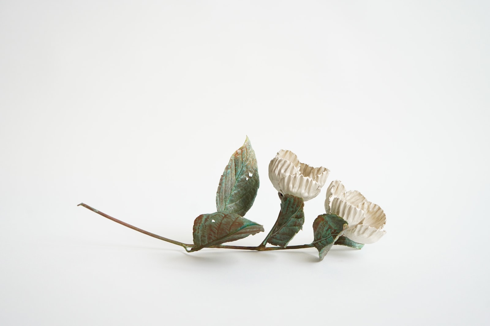 Shota Suzuki, The Summer Camellia, 2025