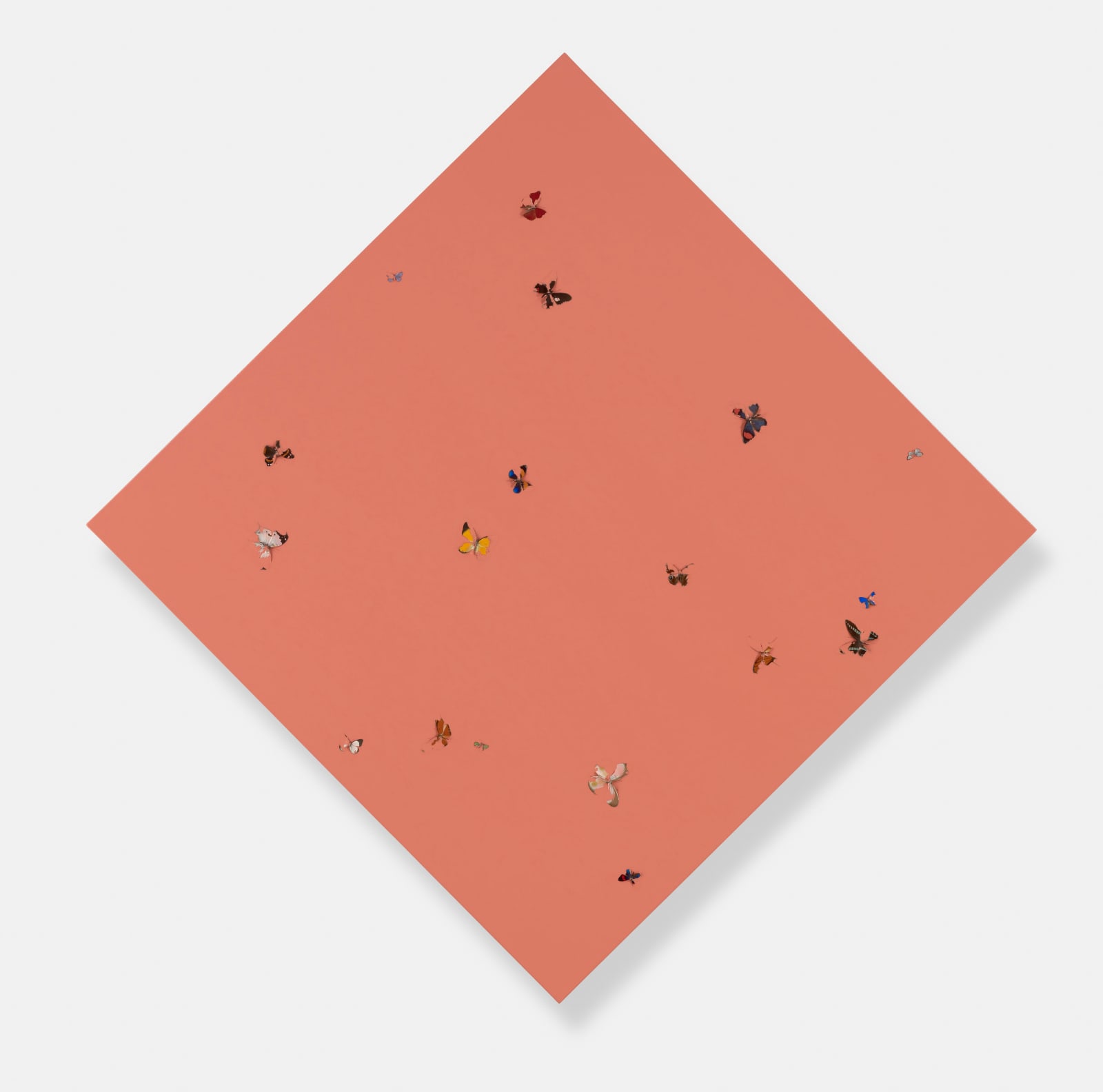 Damien Hirst, Coral Love, 2007