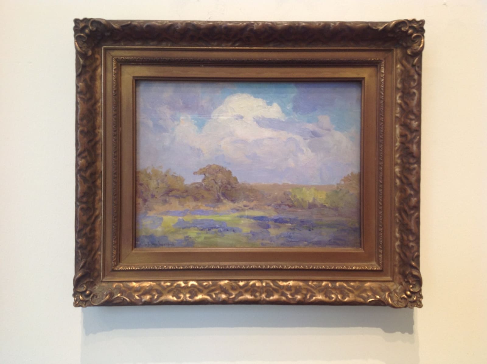 Julian Onderdonk, Bluebonnets of Texas