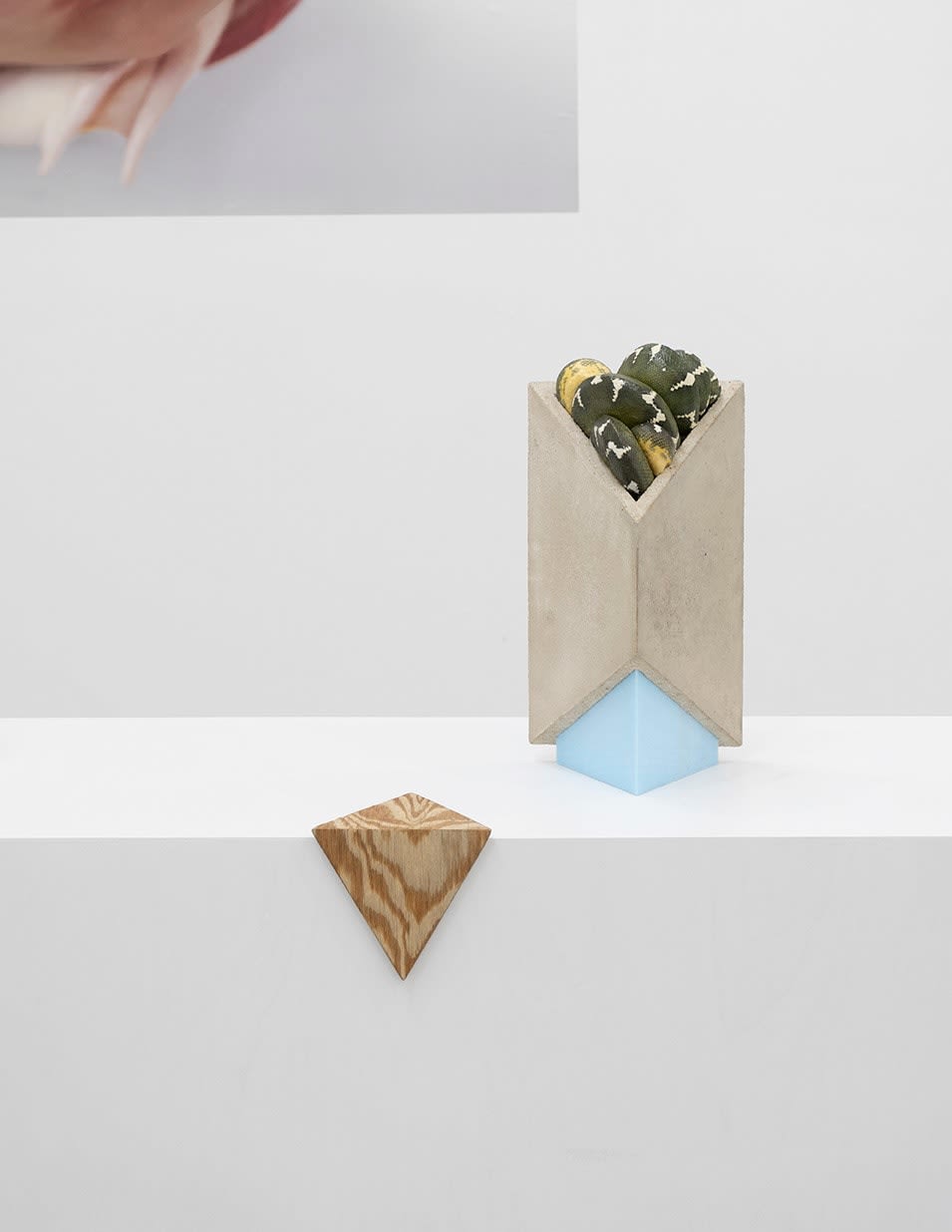 Polly Morgan, Every Other Dance, 2018