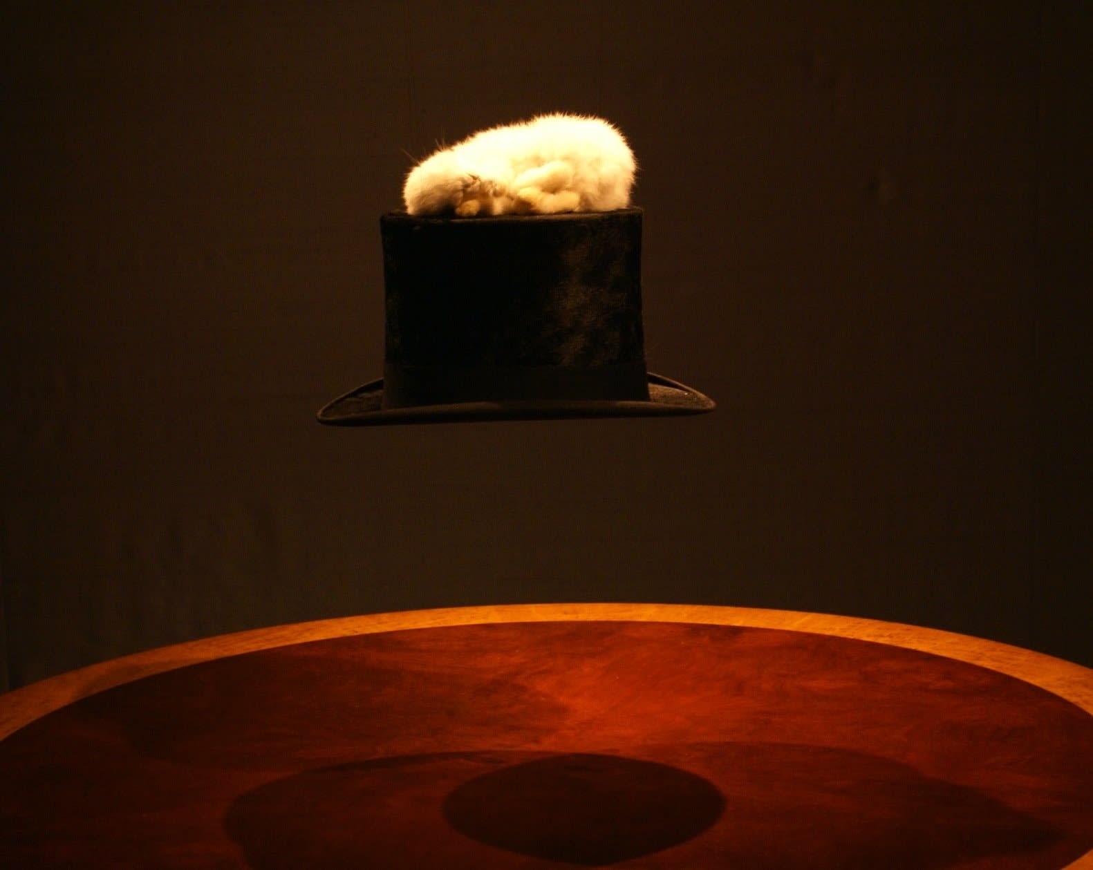 Polly Morgan, White Rabbit on a Top Hat