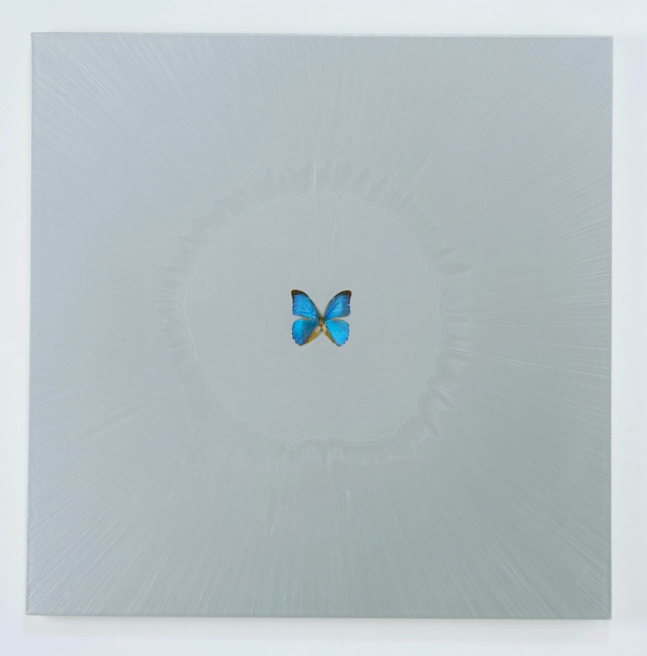 Damien Hirst, Chaos, 2008