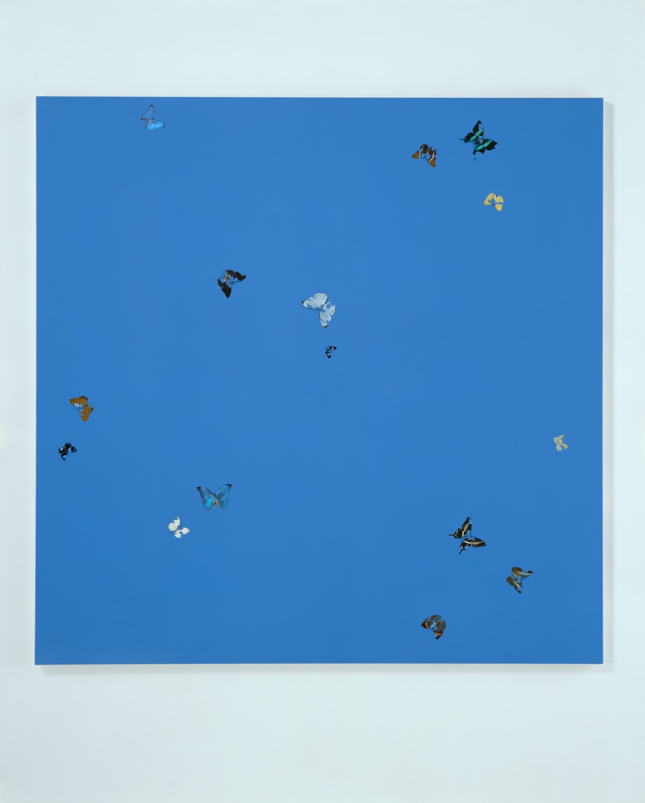 Damien Hirst, Wonderful Day, 2008
