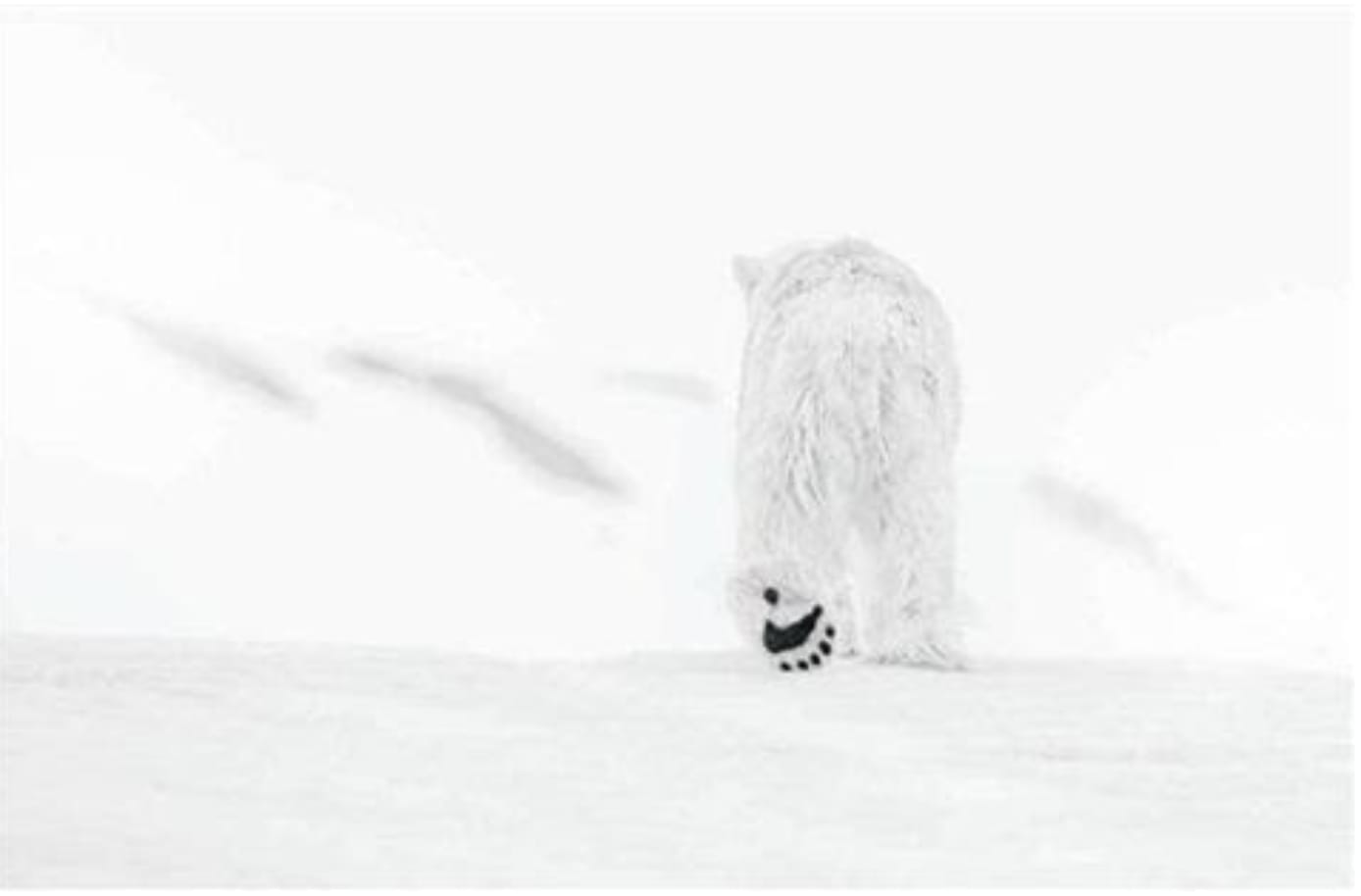 David-Yarrow-78-Degrees-North