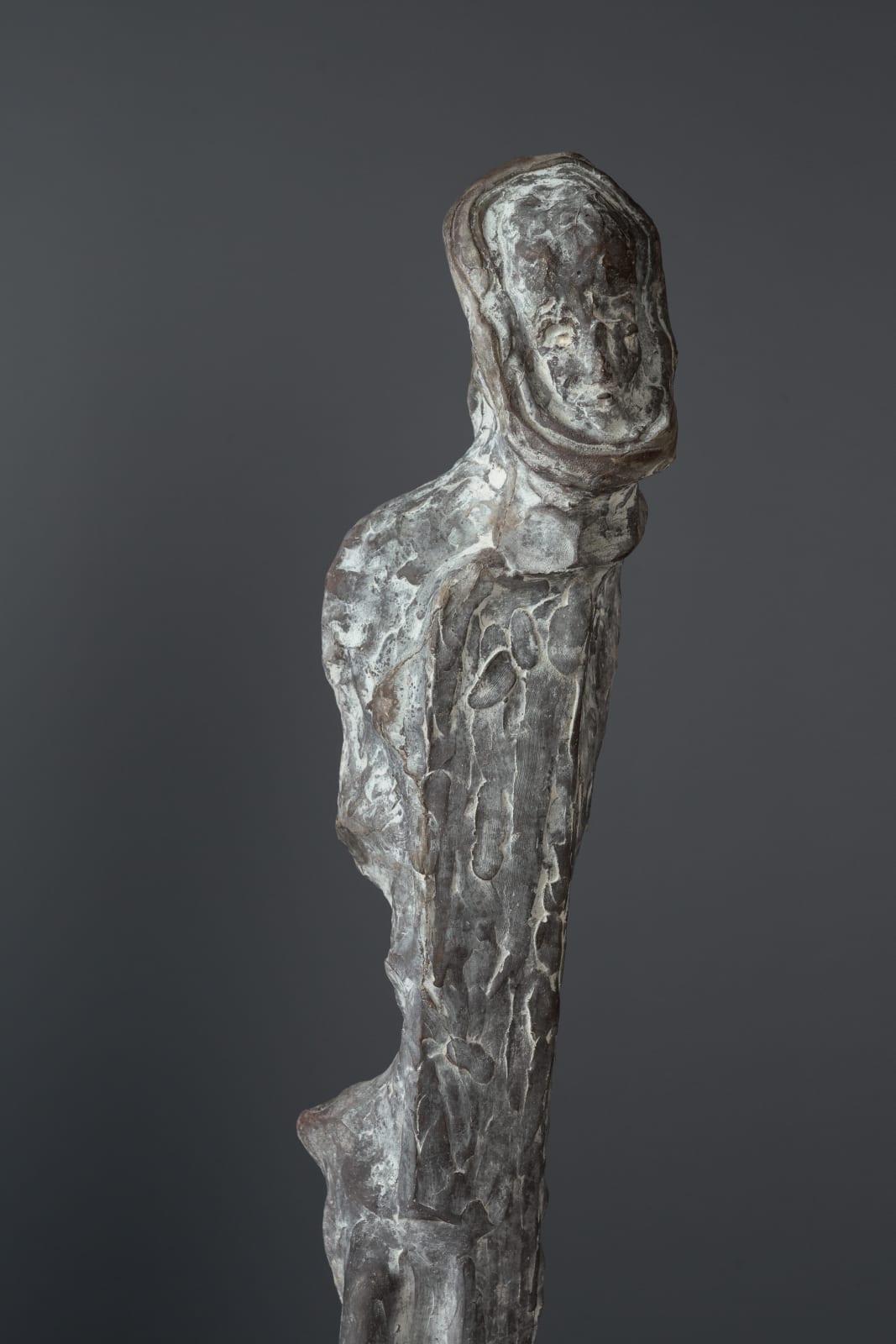 Johan Tahon, Taboo, 2018