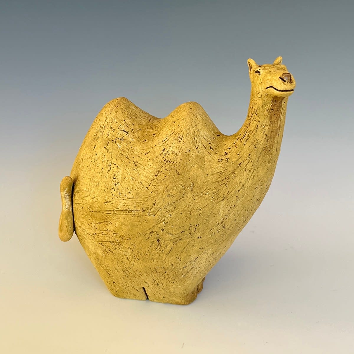 Fred Yokel, Camel