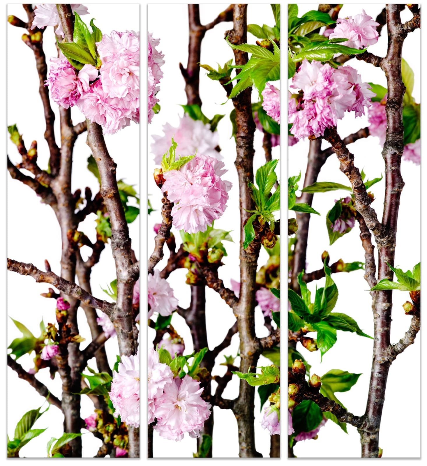 Albert Delamour, Cherry Blossom Tiptych
