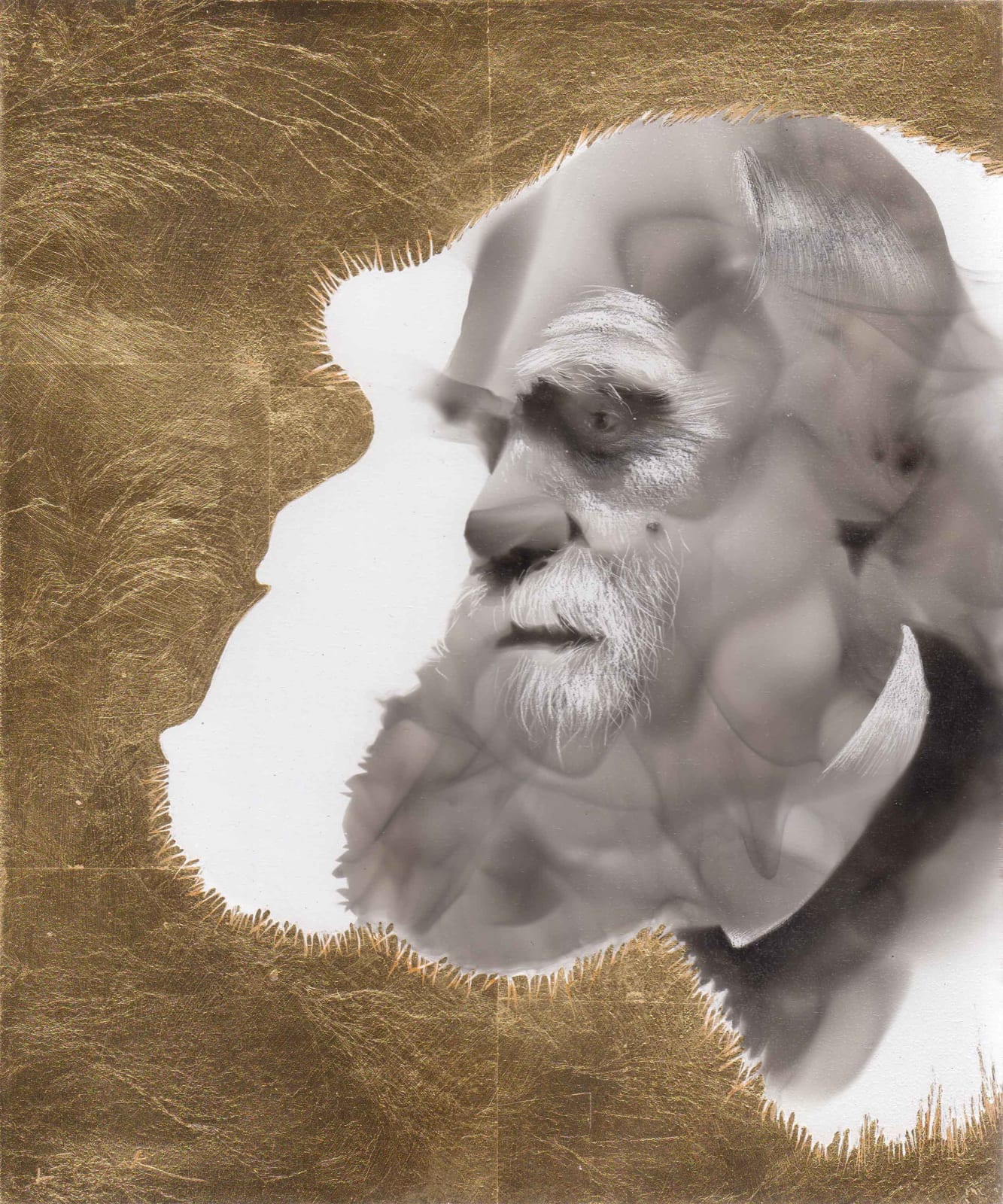 Steven Spazuk, Darwin 3 (Chimpanzee)