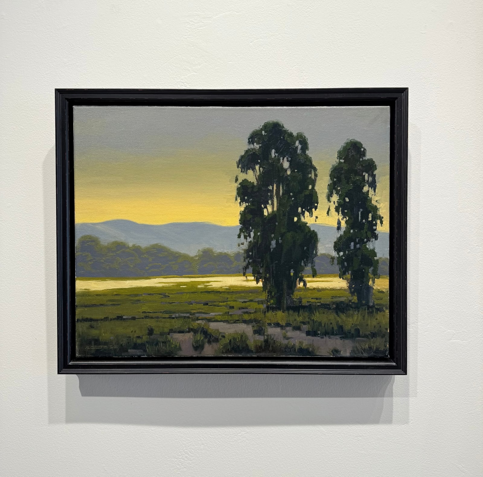 Tom Soltesz, Evening Glow