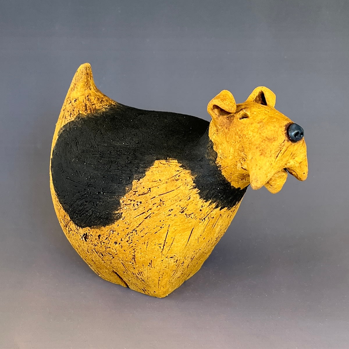 Fred Yokel, Welsh Terrier