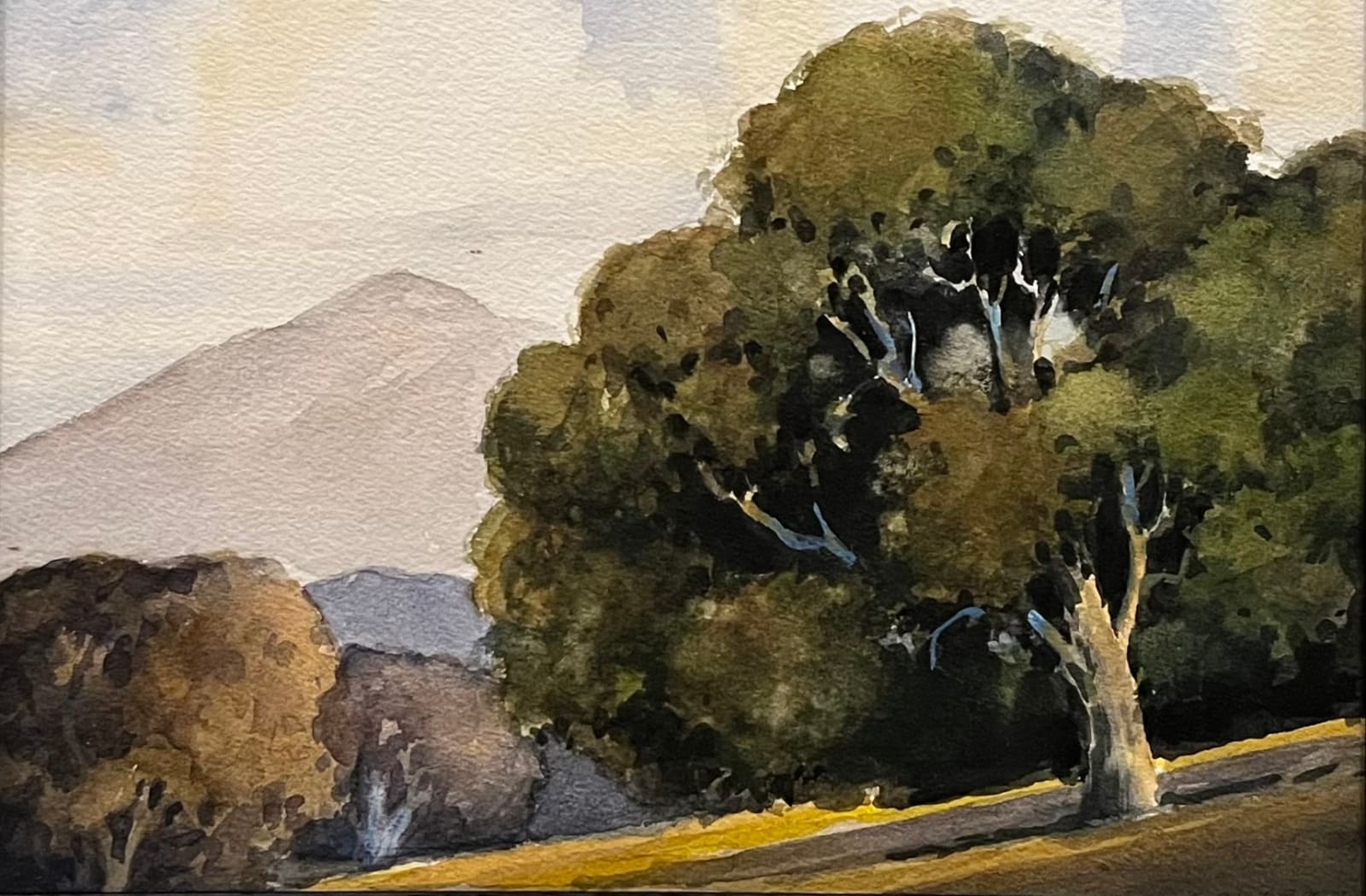Tom Soltesz, Oak Shadows