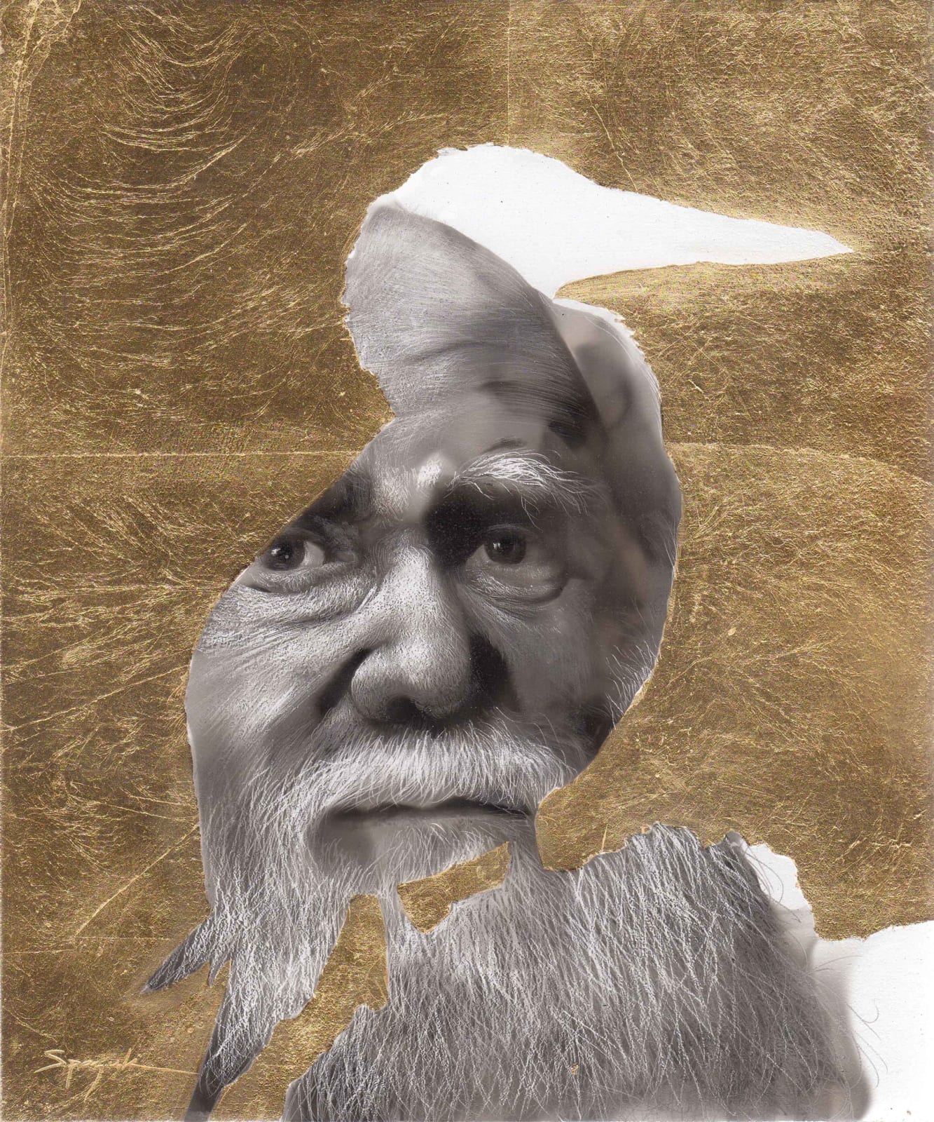 Steven Spazuk, Darwin 2 (Blue Footed Booby)